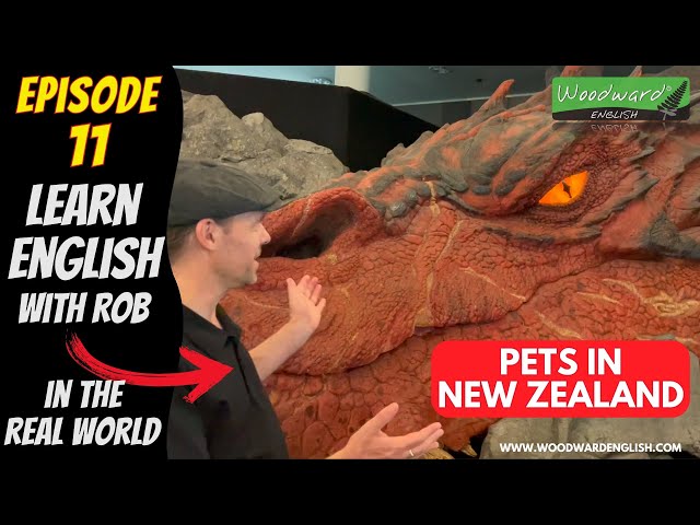 Pets in New Zealand | English with Rob in the Real World 🔴 Episode 11