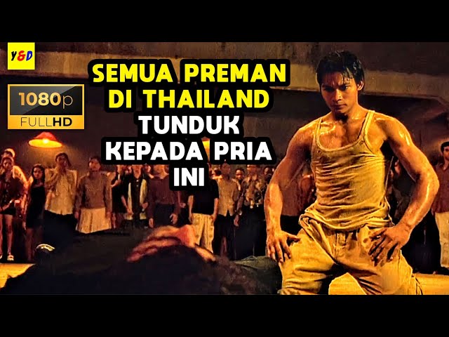 Sering Diremehkan, Ternyata Pria Ini Mewarisi Seni Muay Thai Paling Mematikan - ALUR CERITA FILM