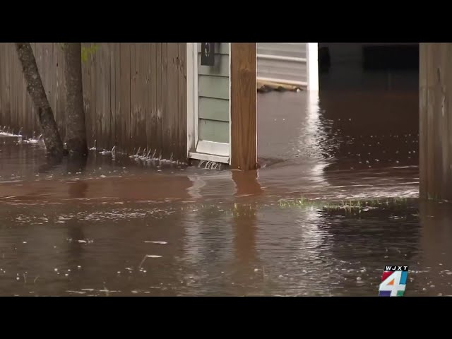 Citizens Property Insurance denied 77% of Florida homeowners’ claims from Hurricane Debby