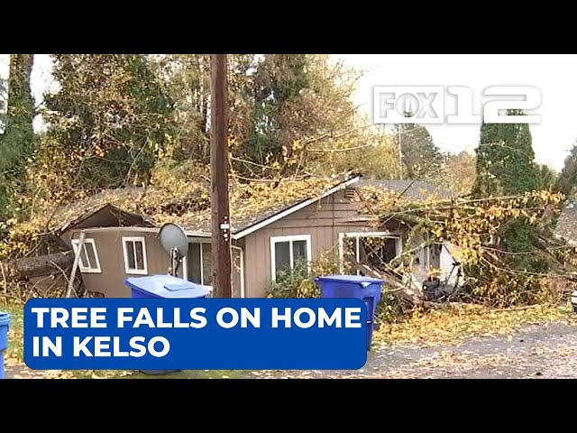 Kelso family displaced after tree falls on home