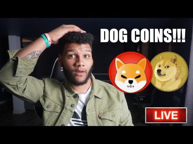 #SHIB & #Dogecoin Will Be Worth Way More Than You Think!!!! #MemeCoins