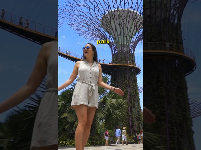 Top Things To Do📍Singapore