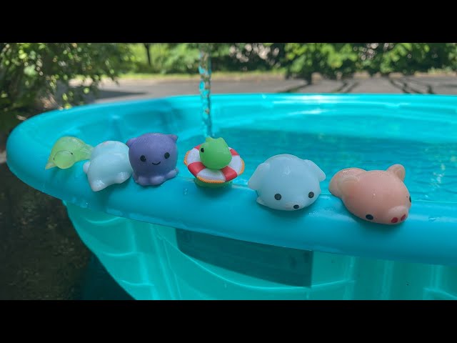 Squishy Mochi - Pool Party!!