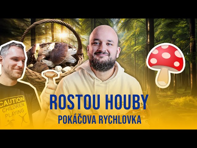 Rostou houby | POKÁČOVA RYCHLOVKA