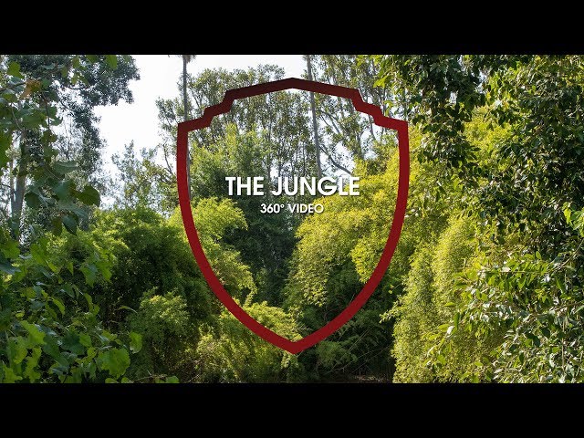 Experience The Jungle in 360° Video | Warner Bros. Studio Tour