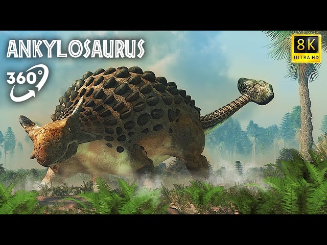 VR Jurassic Encyclopedia #18 - Ankylosaurus dinosaur facts 360 Education