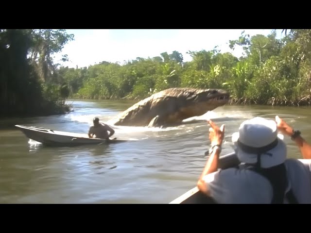 Total Idiots In Boats Caught On Camera!