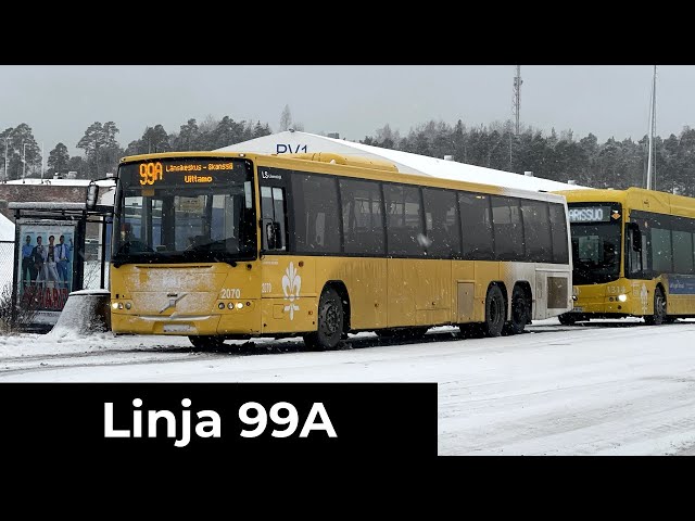 Föli Linja 99A: Pansio - Uittamo