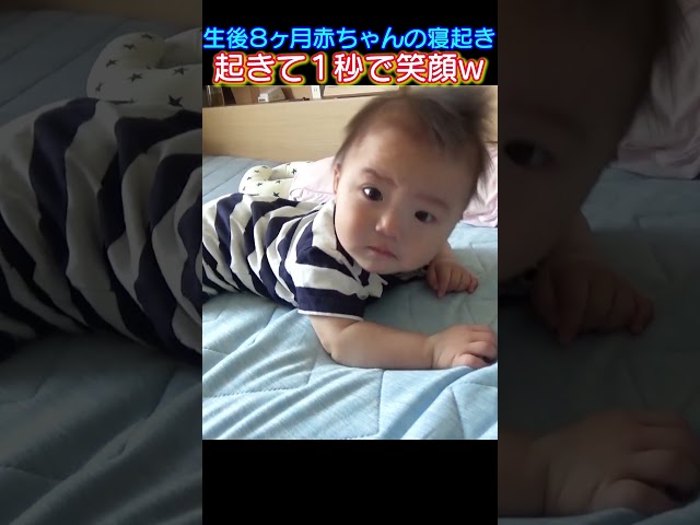 起きて1秒で笑う赤ちゃん！ #赤ちゃん#baby#笑顔 #寝起き#生後8ヶ月#shorts