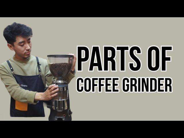 Parts of Grinder | Coffee Grinder | Barista | Grinding Machine