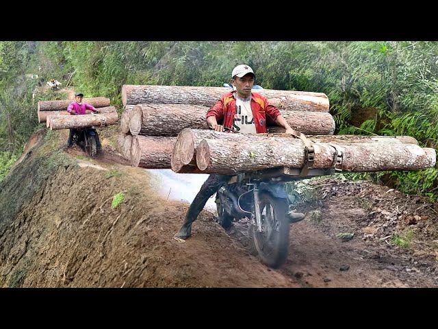 How They Move Tons of Wood With Extreme Off Road Bikes