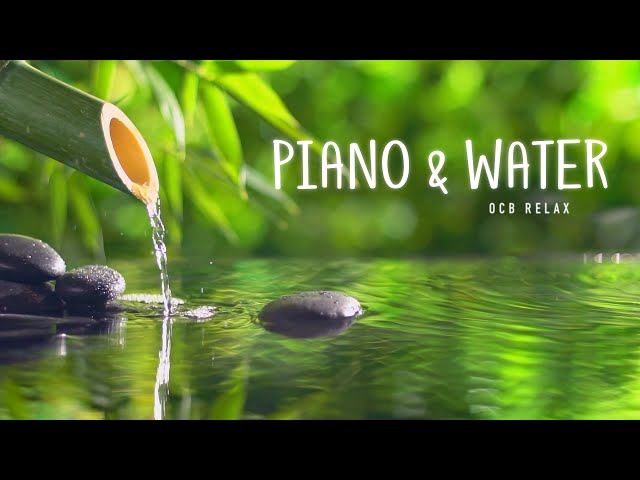 Relaxing Piano Music & Water Sounds 24/7 - Ideal for Stress Relief and Healing