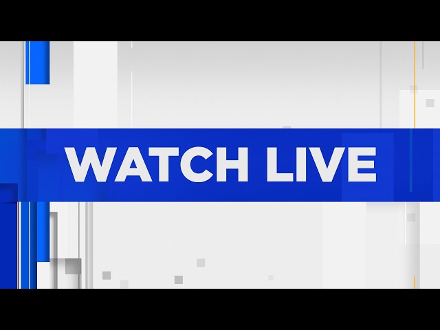 WATCH LIVE | Orlando police seek information after chaos injures 12 at Lake Eola fireworks show.