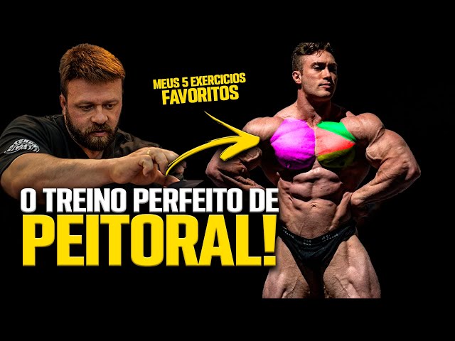 5 EXERCÍCIOS QUE VÃO MUDAR SEU PEITORAL