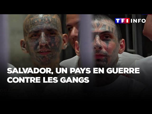 GRAND REPORTAGE - Salvador : un pays en guerre contre les gangs