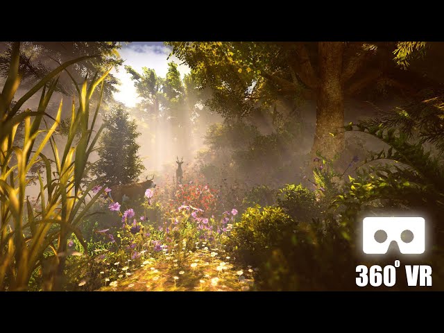 VR 360 Video | Virtual Reality Forest Made With Unity 3D