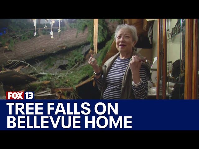 Bellevue woman recounts tree falling on home, roof collapse | FOX 13 Seattle