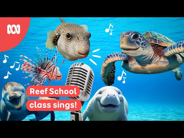 Reef School Class sings Teency Weency Turtle | Reef School