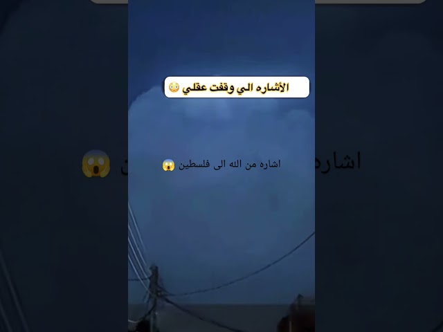 ٦ تشرين الثاني ٢٠٢٤