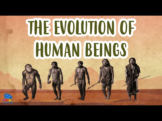 THE EVOLUTION OF HUMAN BEINGS | Human Evolution | Educational Videos for Kids