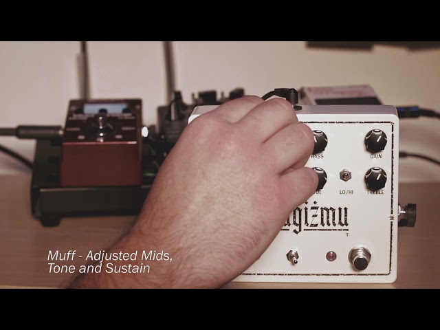 Slavaġiżmu - EHX Black Russian Muff and Paul Cochrane Timmy Clone Bass Demo