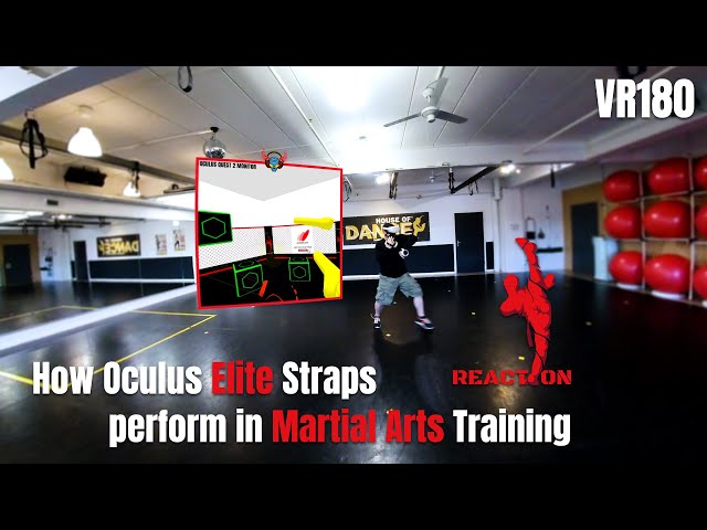 How Oculus Quest 2 Elite Strap perform in Martial Arts Training with Reaction VR180 - Meta Quest