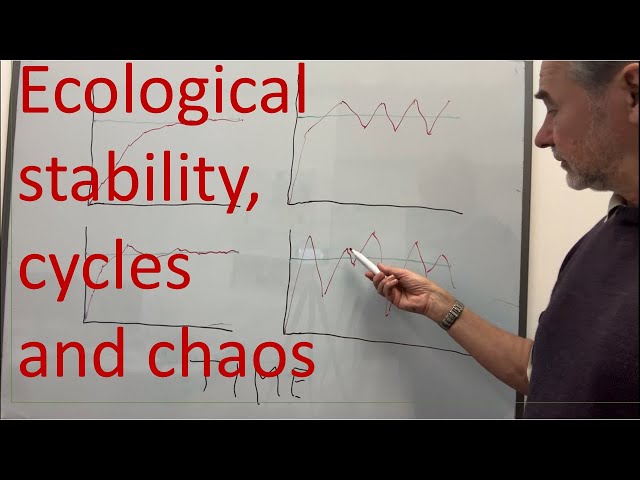 Ecological stability, cycles and chaos