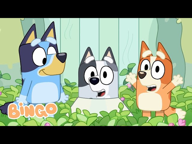 Bingo and the Cousins 🧡 | Fun with Bingo, Bluey, Muffin, and Socks! | Bingo - Official Channel