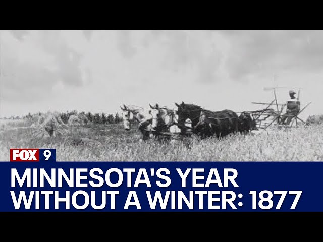 Minnesota's year without a winter: 1877