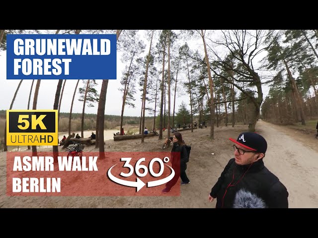 【5K 360°】Walking GRUNEWALD FOREST BERLIN with ASMR spatial sound | Настоящий лес в Берлине