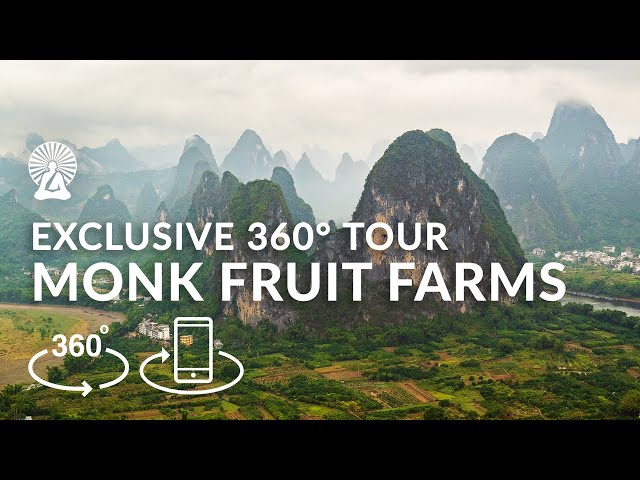 5K 360° VR Tour // Lakanto Monk Fruit Farms in Guilin China (2020)