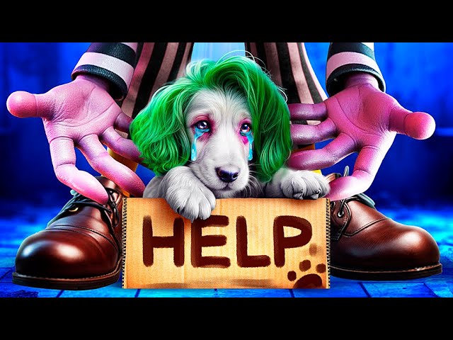 My Dog Is Missing! We Saved a Little Puppy From Beetlejuice!