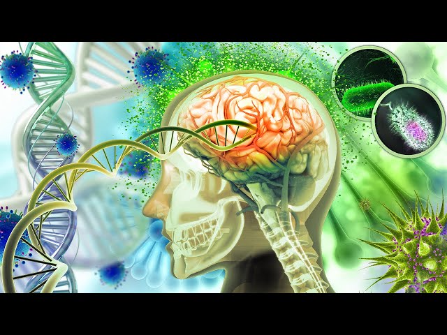 Immediate BRAIN Repair 🧠 Your Body Will Have Clear Changes, Full Body Massage (432Hz) #1