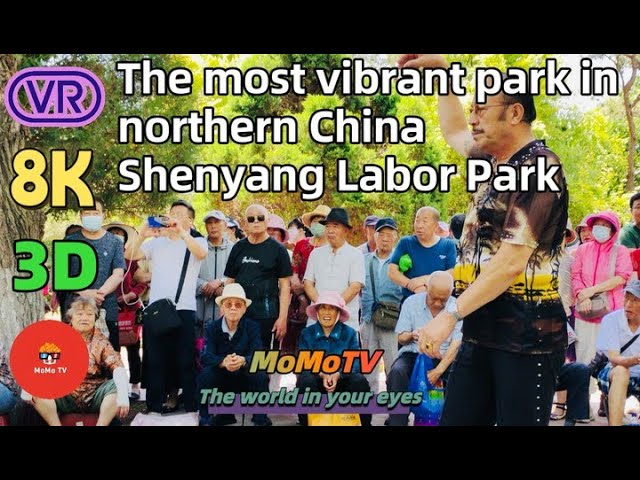 【180° VR】The Most Vibrant Park In Northern China - Shenyang Labor Park  沈阳劳动公园8K 3D 180 VR Video