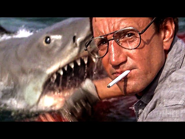 All the BEST Shark Attacks from Jaws 1 to 4 ⚡ 4K