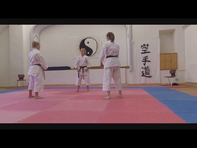 Kata Ji’in and Bunkai