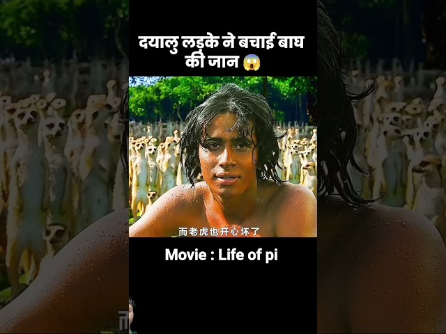 लड़के ने बाघ को बचाया 😱 | #short #movie #anime #recap #tigerfacts #tigerlover #animals#magicalIsland