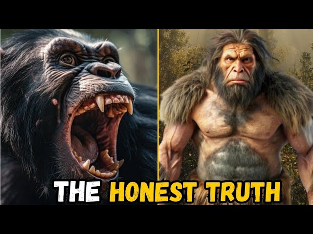 Chimpanzee VS Neanderthal - Who Would Win This Fight