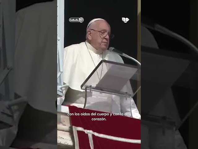 Angelus - Papa Francisco | 27 de octubre de 2024 | Catholic.net