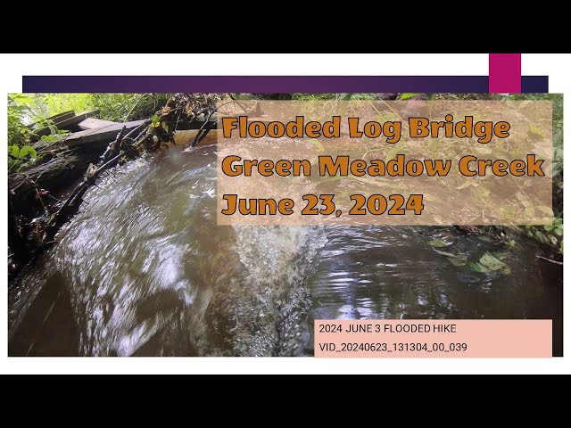 Flooded Log Bridge, Green Meadow Creek