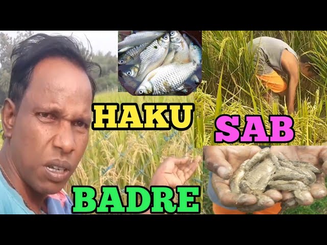 Gidra Haku Sab🐠/Rasha Purnima 2024/Kadu Marandi/New Santali Vlog Video 🔥/@kadumarandi6372