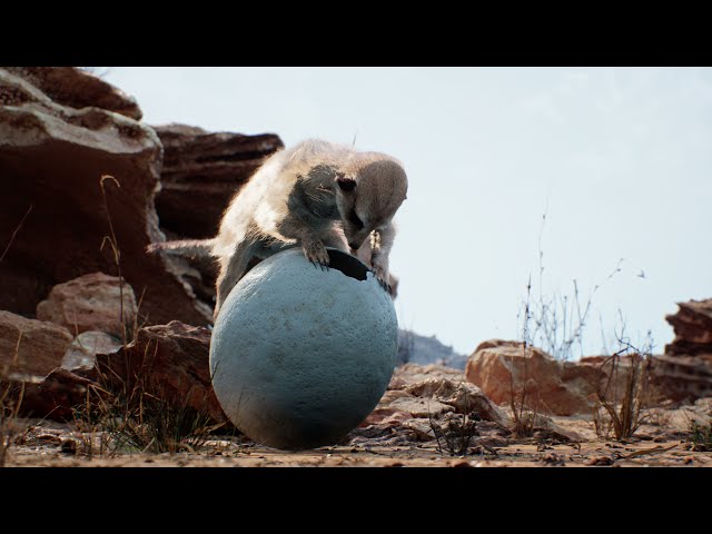 "Meerkat Demo" 4K in Unreal Engine Editor 5.1, Lumen GI & Reflection + 5.1 Audio