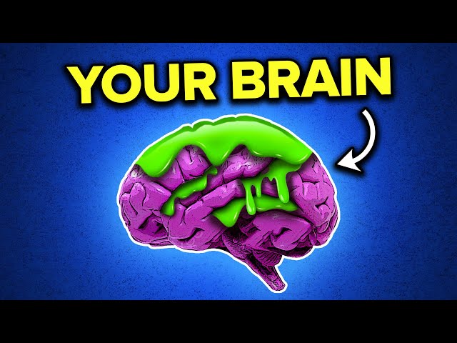 Brain Rot Is Holding You Back