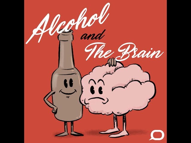 Part 3: How does alcohol affect the brain?