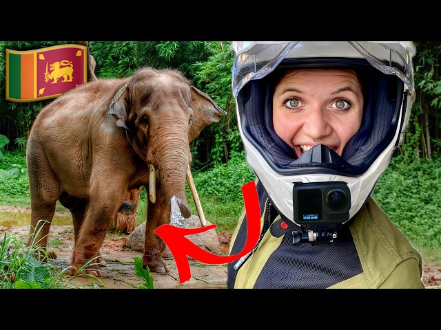 WILD ELEPHANT Encounter in Sri Lanka on my Motorcycle! (Ep.2)