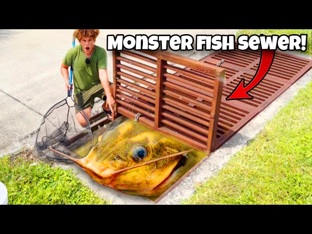 I Found MONSTER FISH In SEWER!