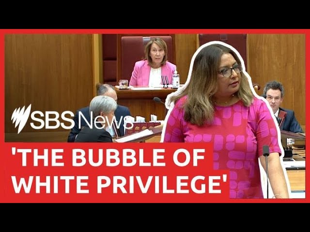 Mehreen Faruqi calls Lidia Thorpe's censure a 'disgrace' | SBS News