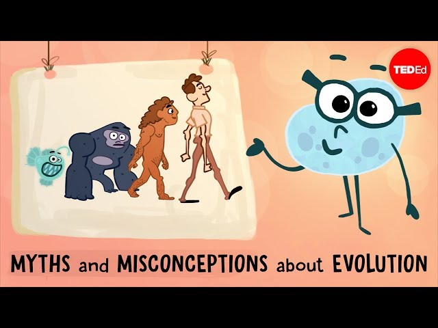 Myths and misconceptions about evolution - Alex Gendler