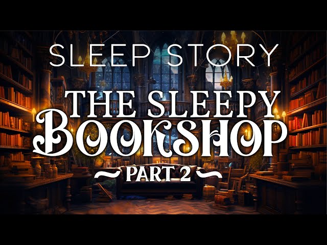 A Rainy Night in the Bookshop of Sleep (Part II): Cozy Bedtime Story