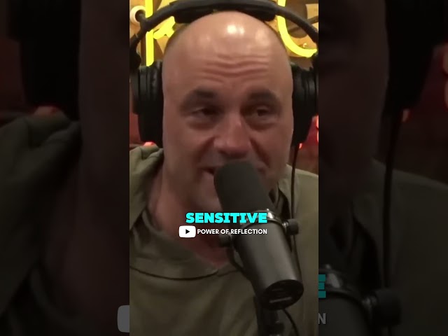 Neuroscientist Huberman and Joe Rogan talk about Weed and how it affects brain and body